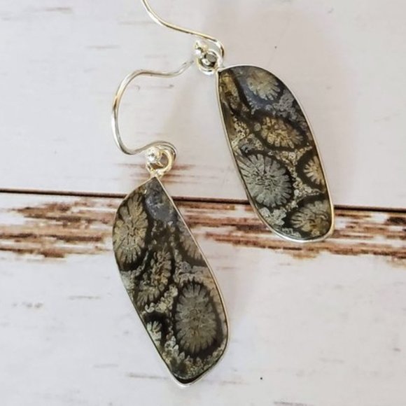 Jewelry - Rare Indonesian Fossil Coral Earrings